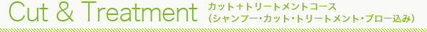 カット＋トリートメントコース